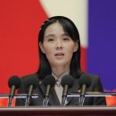 김정은에겐 민주당도 두렵고 의심스럽다 이미지