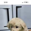 신공항동물병원 이미지