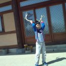 사슴방목장 이미지