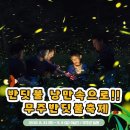 무주반딧불투어 이미지