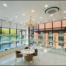 펫아미 강아지분양 고양이분양 동탄점 이미지