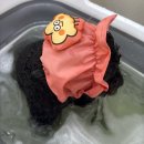 멍냥살롱 천안불당점 | [내돈내산]강아지 미용 관리 추천‼️ 때빼고 광내고 말끔해진 할마시 깜까미 𐔌՞ ܸ.ˬ.ܸ՞𐦯