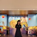 Maje 마쥬 <b>핏</b><b>앤</b>플레어 트위드 원피스 하객<b>룩</b> 아울렛 구매 후기