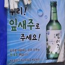 담양2