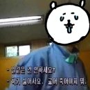 토라레스토랑 이미지