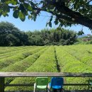 광활농협주유소 이미지