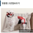 펫츠월드 이미지