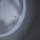 동읍371 | 창원 주남저수지 맛집, 창원 맛집 선정 [주남오리알]