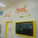 옐레드 애견유치원&애견호텔 부산용호점 이미지