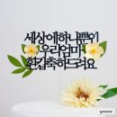 토퍼세상