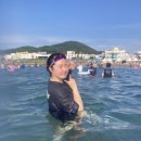 대풍회 네이버블로그