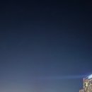 곰솔농장 이미지