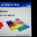 채움푸드 Daum카페