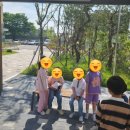 양성초등학교 이미지