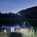 인제 생다슬기,자연산메기,깊은골짜기(산메기) 이미지