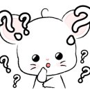 버티고클라이밍짐