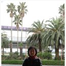 도원장여관 이미지