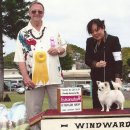 챔피언켄넬 이미지