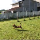 베라데로 이미지