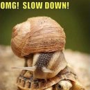 교리초등학교 이미지