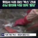 보배횟집