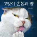 손톱하는고양이