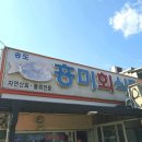 흥미식당 - 용산구 | 포항 송도 맛집 l 물회, 회덮밥 맛집 흥미회식당 솔직후기