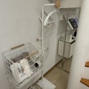 호박꽃 펜션 | [속초 - 매일 그대와] 속초 포차 거리 감성 숙소 가성비 독채 복층펜션(솔직 후기)