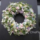 손톱마녀 이미지