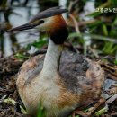 고흥군노인전문요양원 이미지