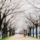 팔공노인복지관 앞 이미지