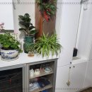 청담안마지압원 이미지