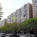 강남-151 Daum카페