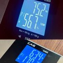 제주일상 이미지