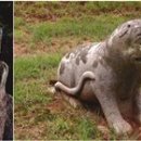 석호축산 이미지