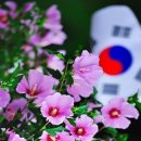 대한민국 이미지