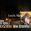 나는숲이다 이미지