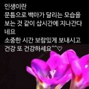 우리인생을명품으로멋지게살아요