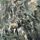 본드나라 | 태국푸켓자유여행 팡아만+제임스본드섬 투어 럭셔리요트투어 후기