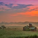 안성목장 이미지