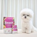 스맥 | 강아지 금사료 스맥(Smack) 내돈내산 후기