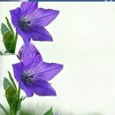 들은 귀는 천년이요, 말한 입은 사흘이다 이미지