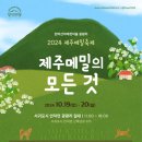 제주발렛파킹