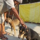 도그마루 강아지고양이 목동점 이미지