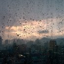 정다방 이미지