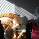 38점5도씨 이미지