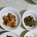 (A )마터피아 네이버블로그