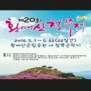 정도테크태양광발전소 이미지