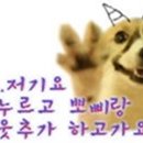 별빛아리수 이미지