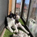 1-2월 겨울 제주도 한 달 살기 후기 및 꿀팁